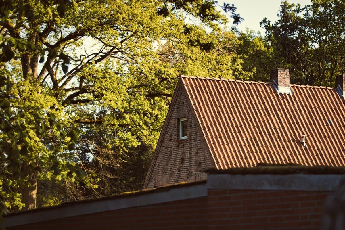 Rood pannendak van een woning tussen de bomen in de zon